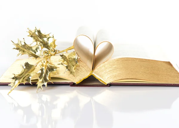 Offenes Buch mit goldenen Seiten — Stockfoto