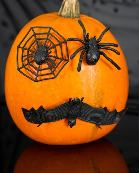 Pumpkin with spiders and bat — Stock Photo, Image