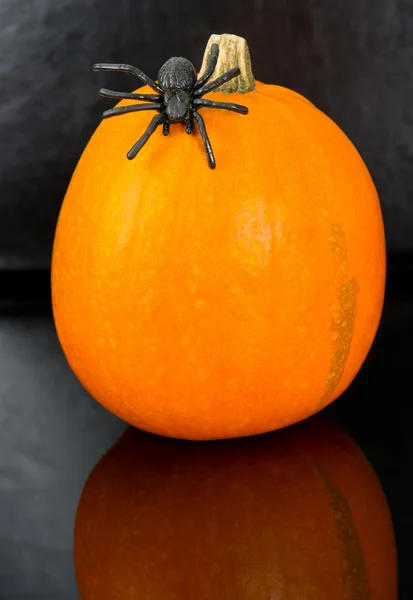 Pumpkin with spider on black — Stock Photo, Image