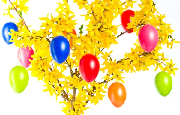 Påsk blommor bukett med färgglada ägg — Stockfoto