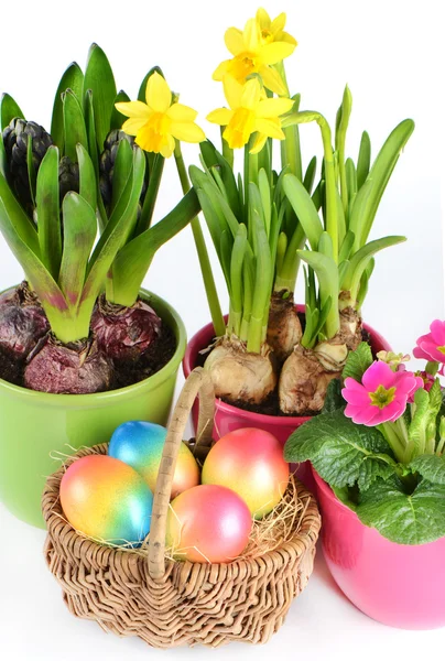 Flores coloridas da primavera e ovos de Páscoa — Fotografia de Stock