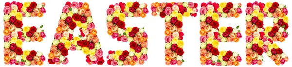 E, roses flower alphabet — Stock Photo, Image