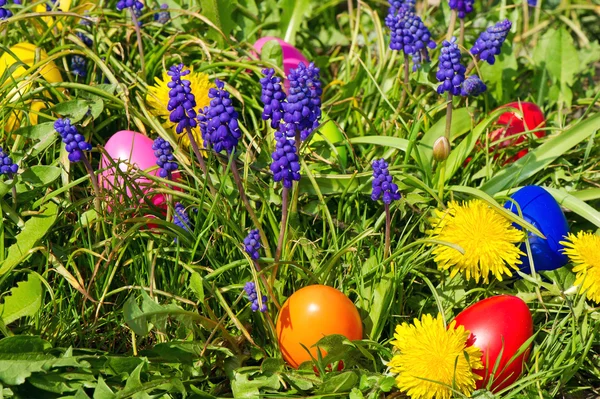 Красочные пасхальные яйца на весеннем лугу с одуванчиком — стоковое фото