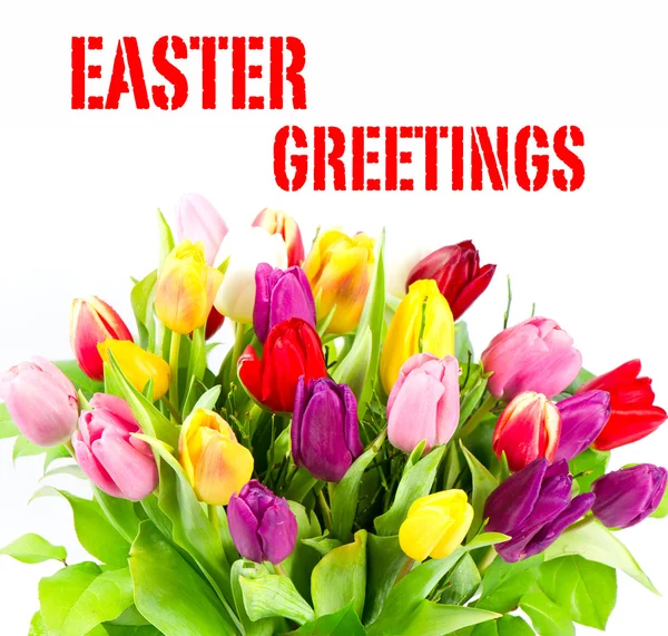 Bouquet of fresh colorful tulips. easter greetings — Stock Photo, Image