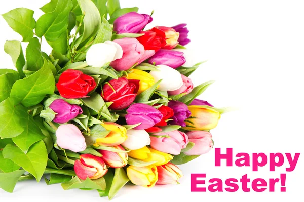 ¡Feliz Pascua! tulipanes frescos de primavera —  Fotos de Stock