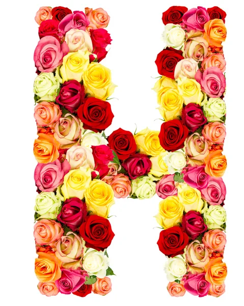 H, gül çiçek alfabesi — Stok fotoğraf