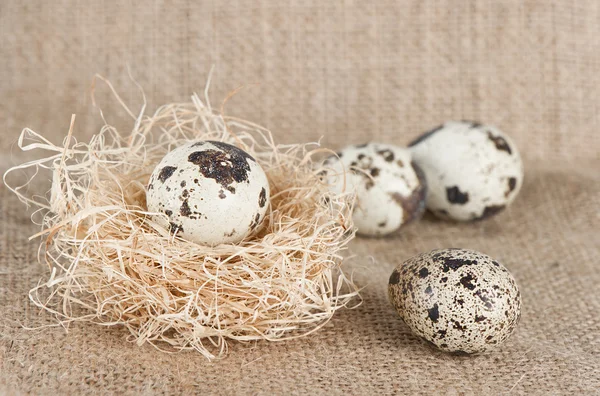 Easter eggs in natural colours on burlap — Stock Photo, Image