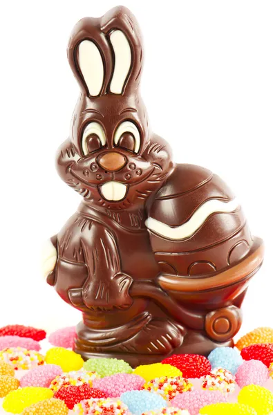 Chocolate easter bunny — Stock Photo, Image
