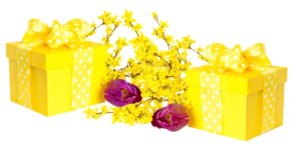 Yellow gift box with forsythia and tulip flowers — Stock Photo, Image