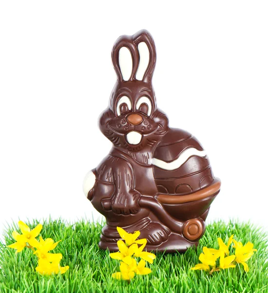 Chocolate easter bunny with egg — Stock Photo, Image