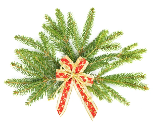 Branch of christmas tree with red ribbon. christmas and new year — Stock Photo, Image