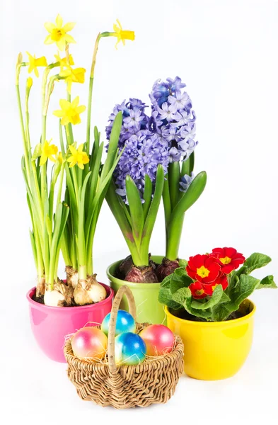 Colorful easter composition — Stock Photo, Image