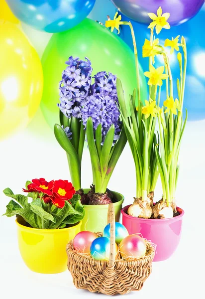 Composição de Páscoa colorida. Ovos de Páscoa com flowe primavera fresco — Fotografia de Stock