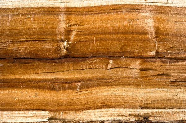 Old wood background — Stock Photo, Image