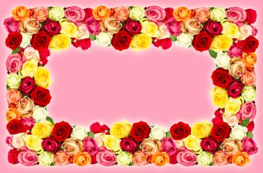 assorted roses. colorful flowers frame