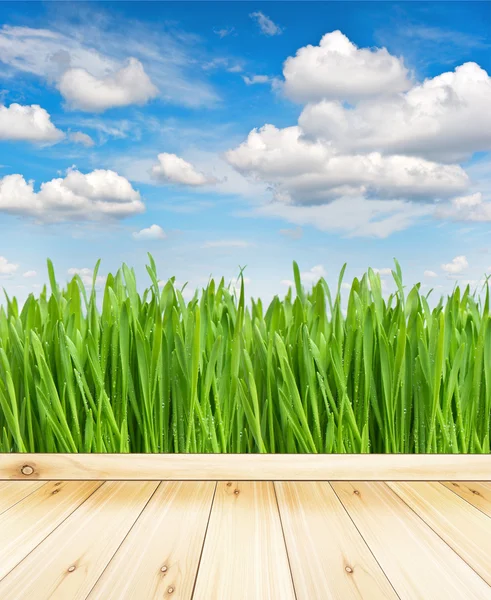 Terrasse en bois avec vue sur le champ et le ciel — Photo