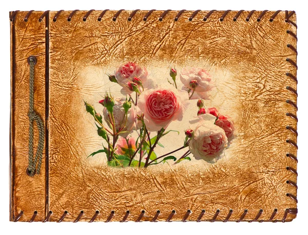 Vintage album met rozen ontwerp — Stockfoto