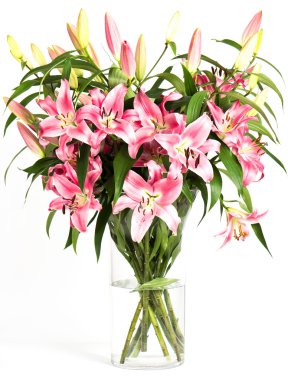 pembe lily çiçek buketi