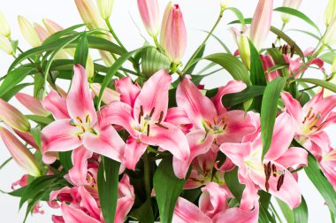Lily çiçek buketi