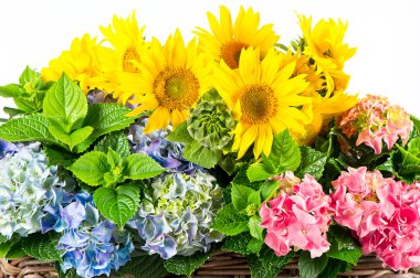 renkli ayçiçeği ve HORTENSIA çalı