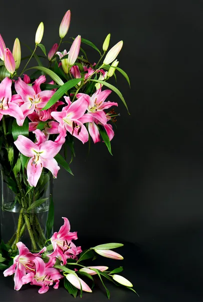 Ramo de flores de lirio —  Fotos de Stock