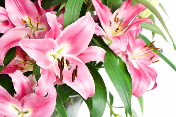 Buquê de lindas flores de lírio — Fotografia de Stock