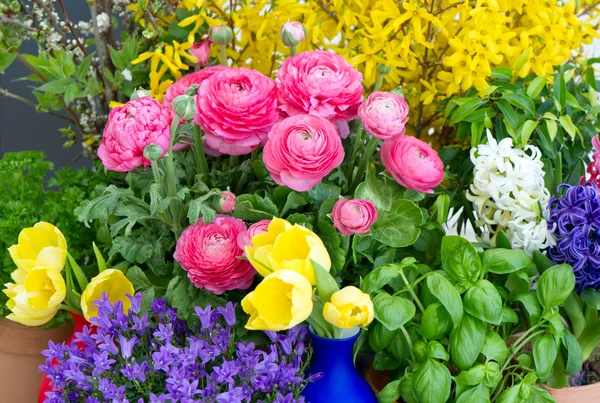 Colorful mix of spring flowers — Stock Photo, Image