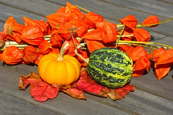 Pequeñas calabazas sobre mesa de madera — Foto de Stock