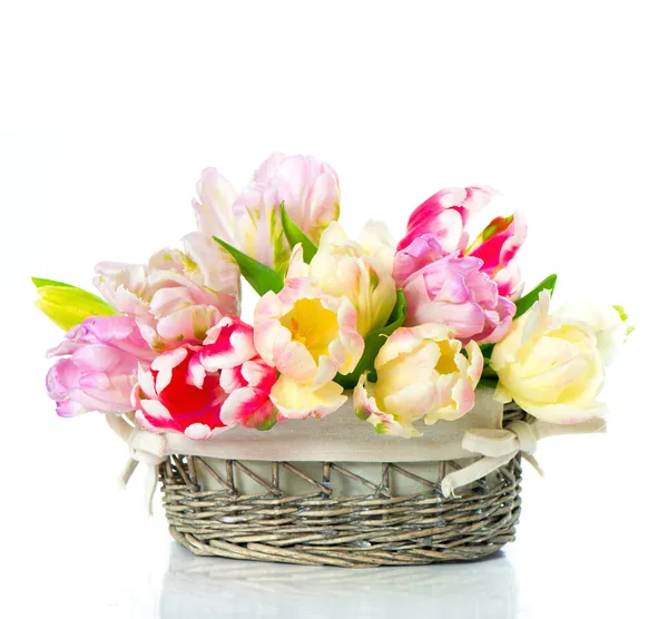 Colorful spring tulip flowers in basket — Stock Photo, Image