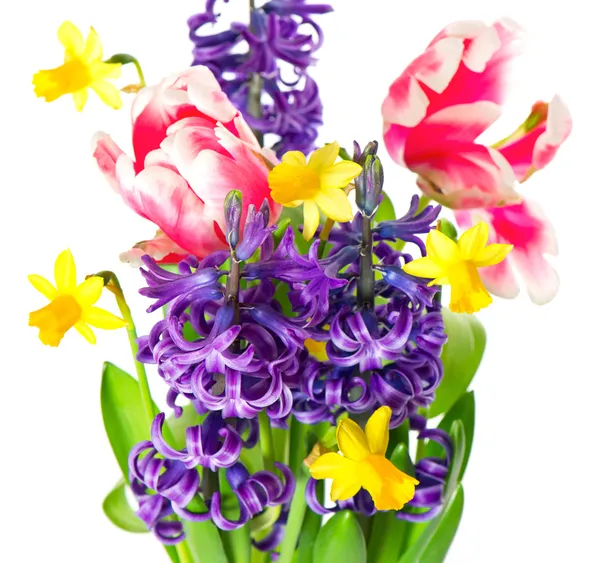 Tulpen, Narzissen und Hyazinthen. bunte Blumen — Stockfoto