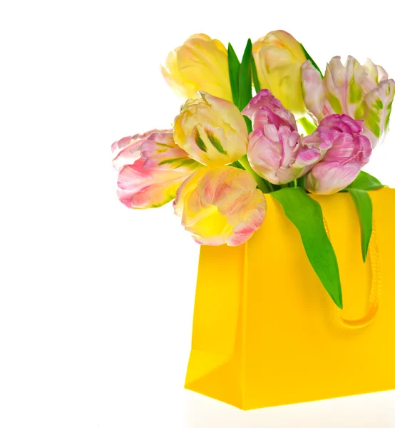 Свіжі весняні тюльпани в жовтій сумці над білим — стокове фото
