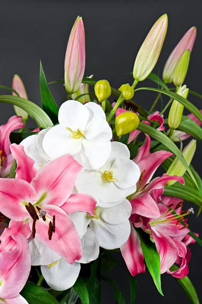 Lily ve orkide çiçek buketi pembe — Stok fotoğraf