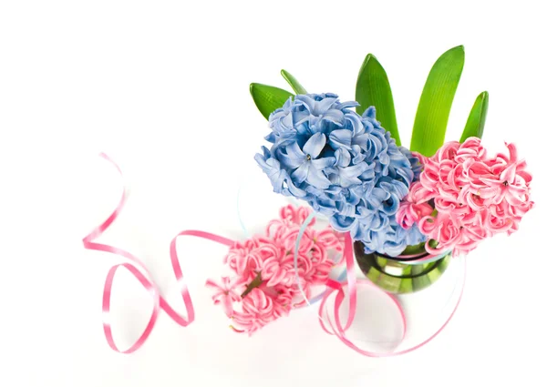 Flores de jacinto de primavera azul y rosa en un jarrón —  Fotos de Stock