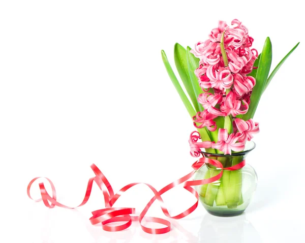 Rosa Frühlingshyazinthenblüte in einer Vase — Stockfoto