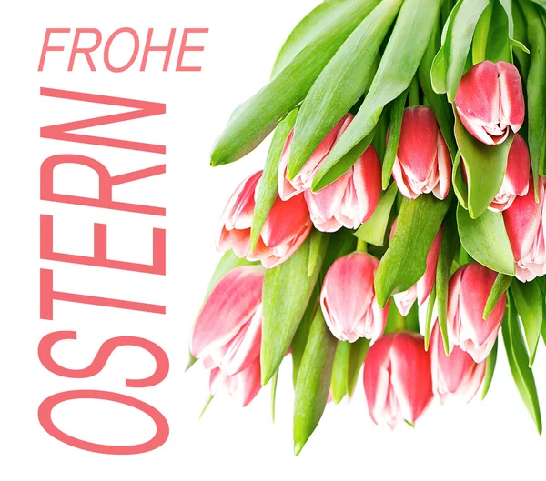 Frühling rosa Tulpenblüten — Stockfoto