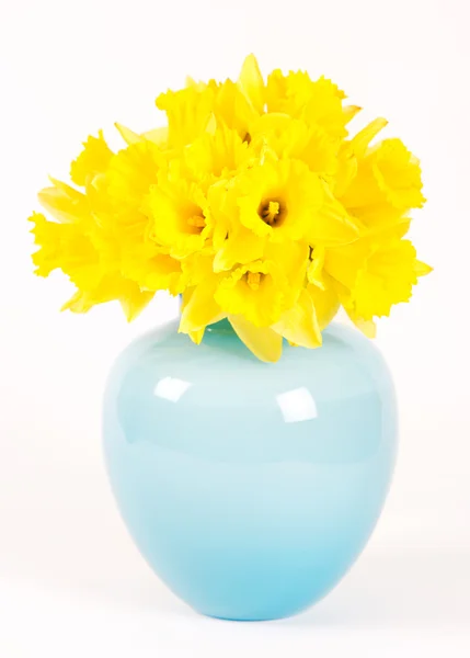 Narcisos em um vaso azul — Fotografia de Stock