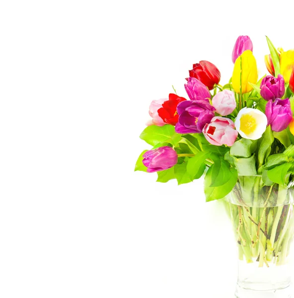 Bunter Strauß frischer Tulpen — Stockfoto