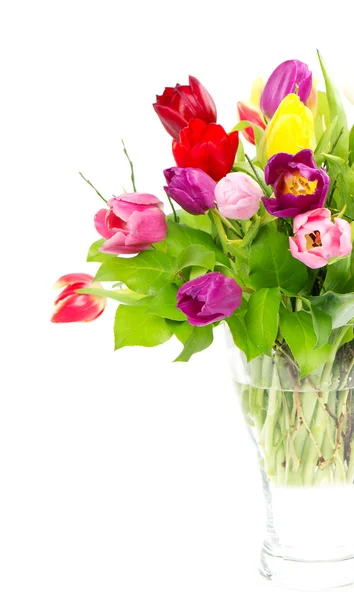 Bunter Strauß frischer Tulpen — Stockfoto