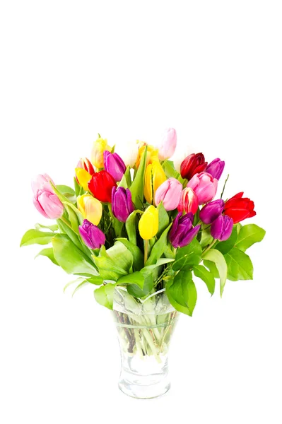 Цветной букет свежих тюльпанов — стоковое фото