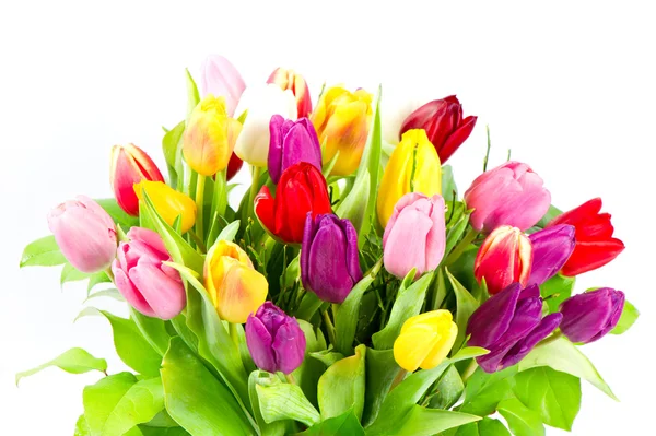 Букет разноцветных цветов тюльпанов — стоковое фото