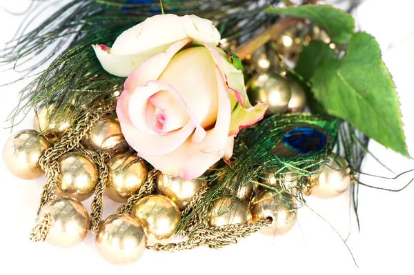 Decoration with rose and beautiful exotic peacock feathers — Stock Photo, Image