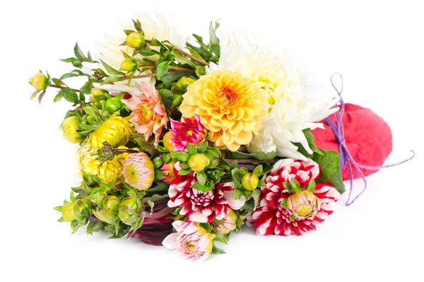 Bouquet of colorful dahlia flowers — Stock Photo, Image