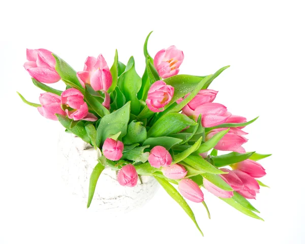 Schöne rosa Tulpen mit Wassertropfen — Stockfoto
