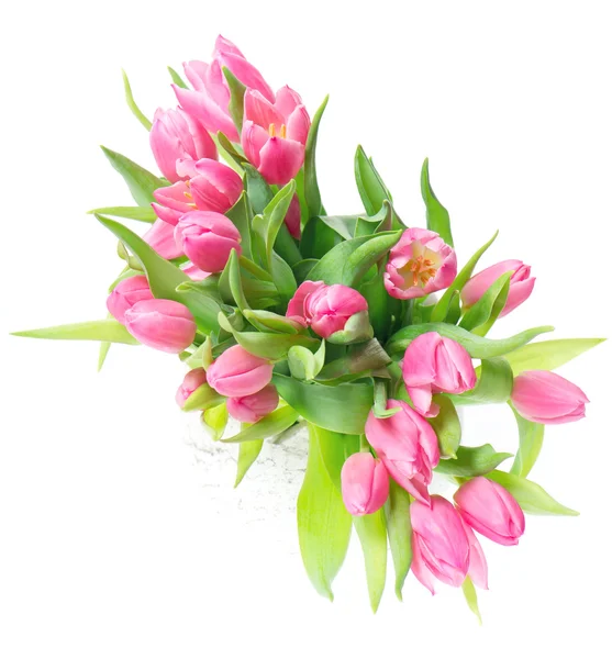 Schöne rosa Tulpen auf weiß — Stockfoto