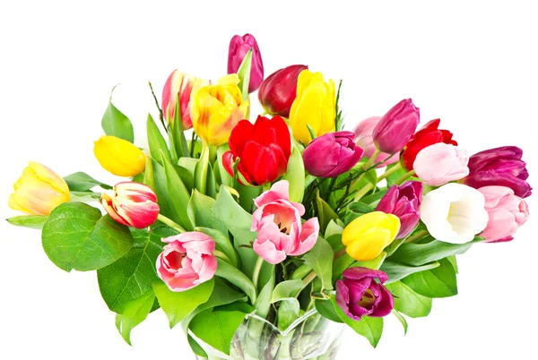 Bouquet of colorful fresh tulip flowers — Stock Photo, Image