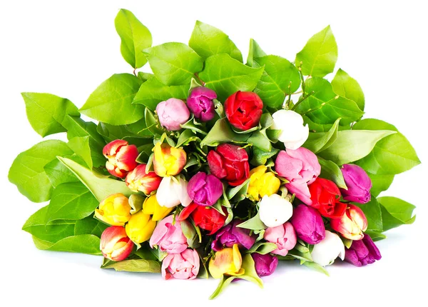 Bouquet de tulipes colorées — Photo