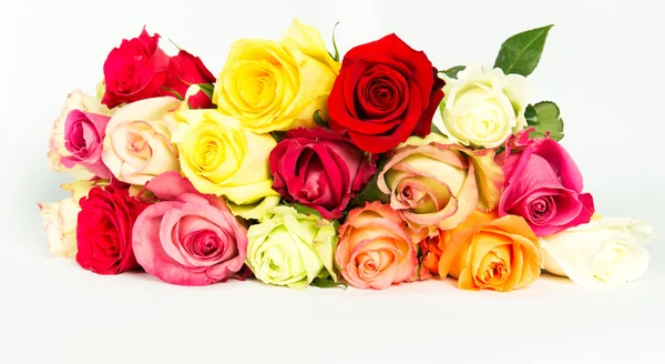 Colorful roses, beautiful flower bouquet on white background — Stock Photo, Image