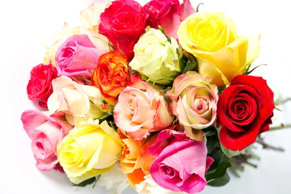 Rosas coloridas, lindo buquê de flores no fundo branco — Fotografia de Stock