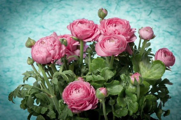 Hermoso ramo de flores de primavera ranúnculo rosa —  Fotos de Stock