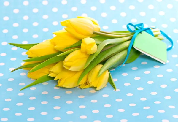 Žlutý Tulipán, květy modré — Stock fotografie